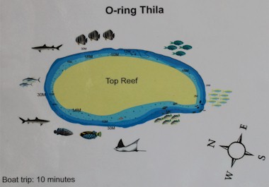 O-ring Thila